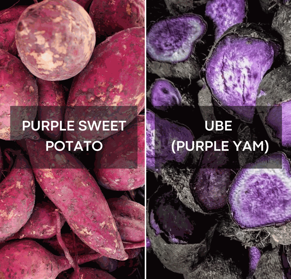 Ube vs Patate douce violette