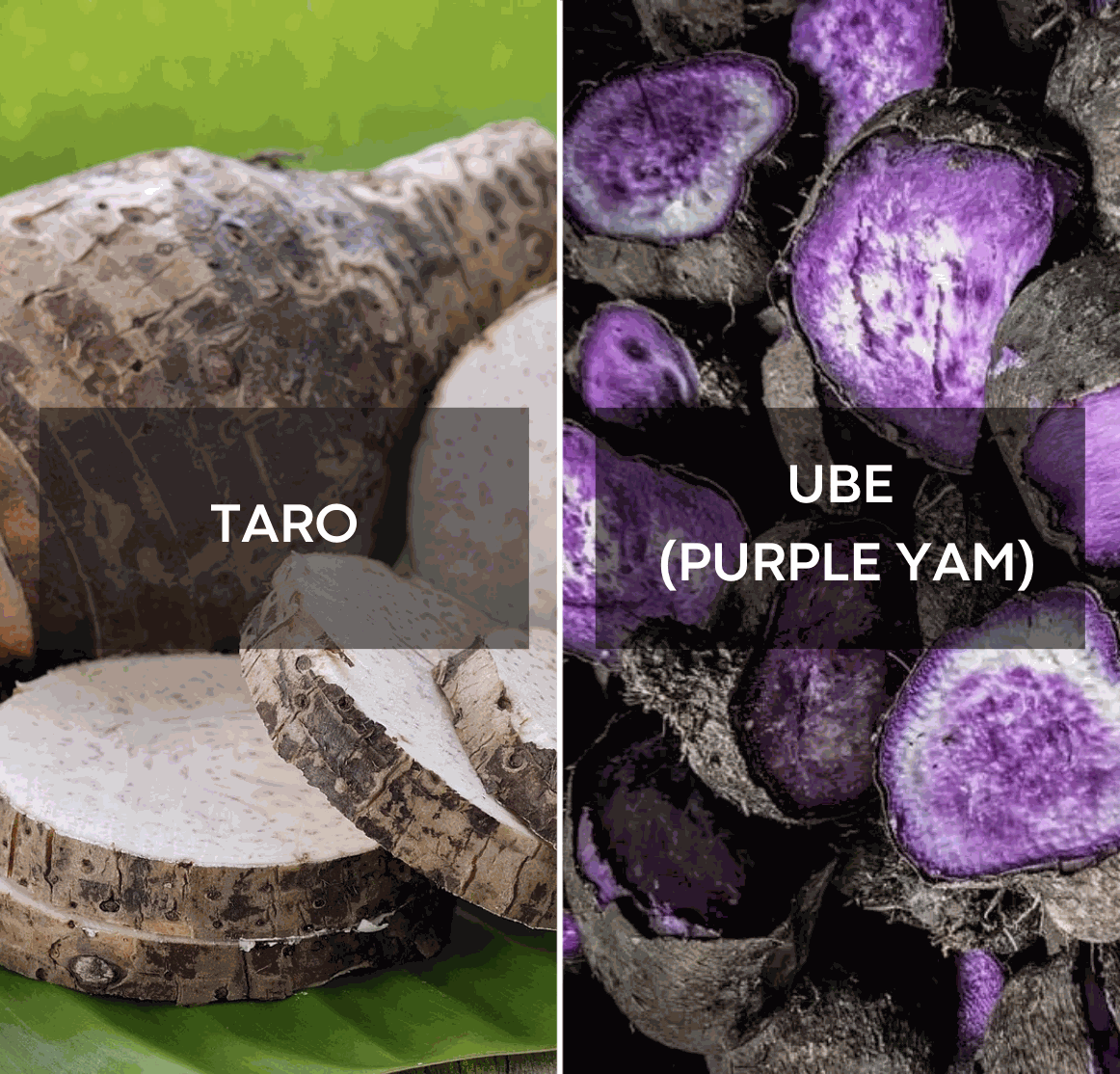 Ube vs Taro : Quelle est la vraie différence ?