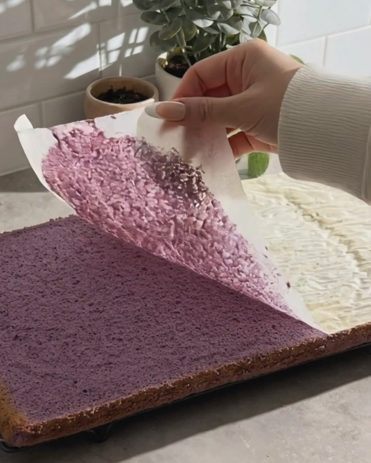 Décoller le papier sulfurisé d'une plaque de gâteau chiffon à l'ube violet fraîchement cuite par Ube Nolia