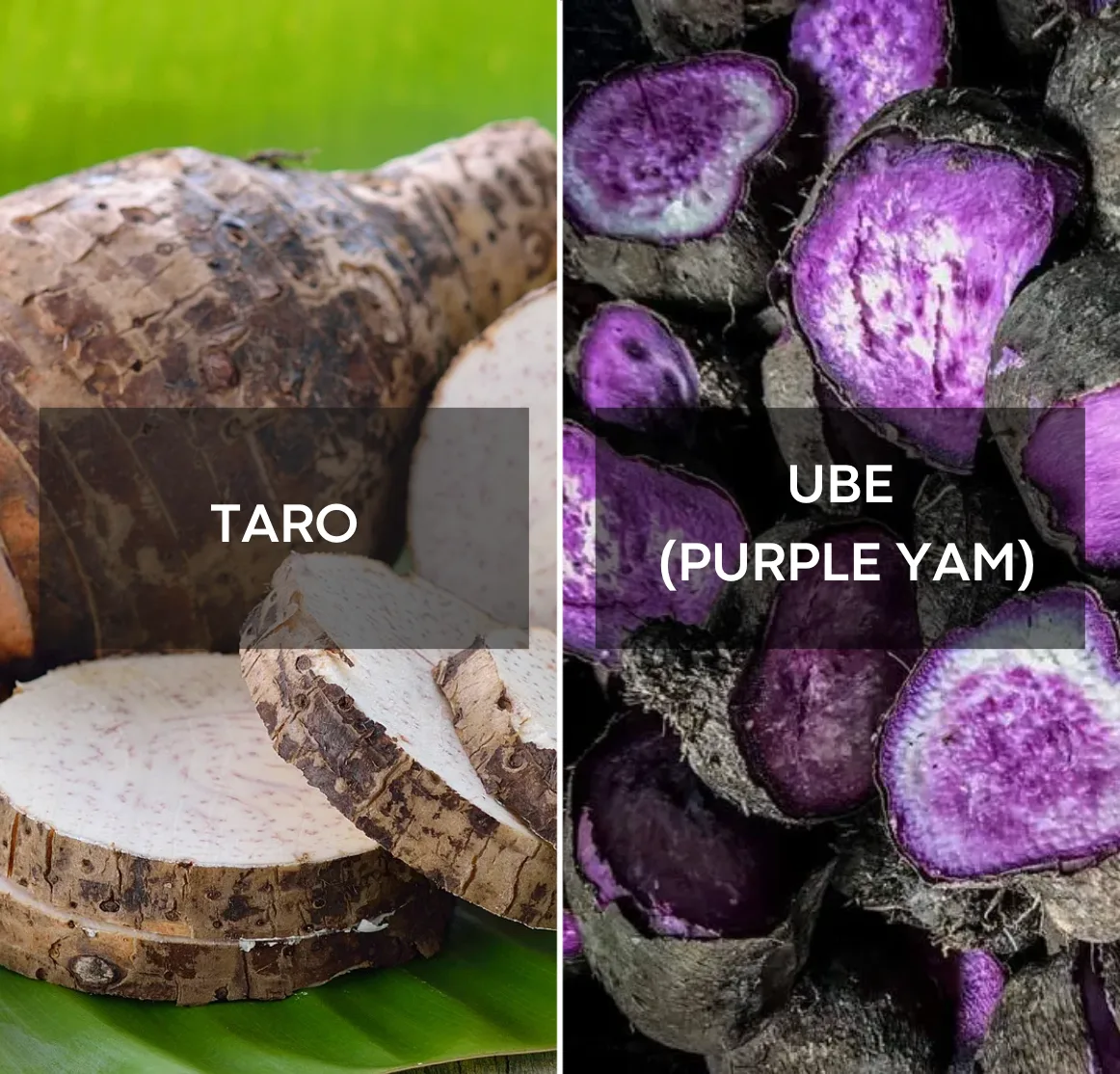 Comparatif ube vs taro : la poudre d'ube violette | Ube Nolia